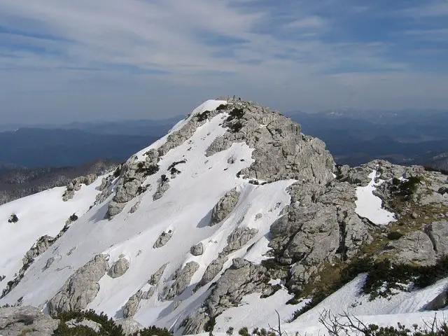 Risnjak